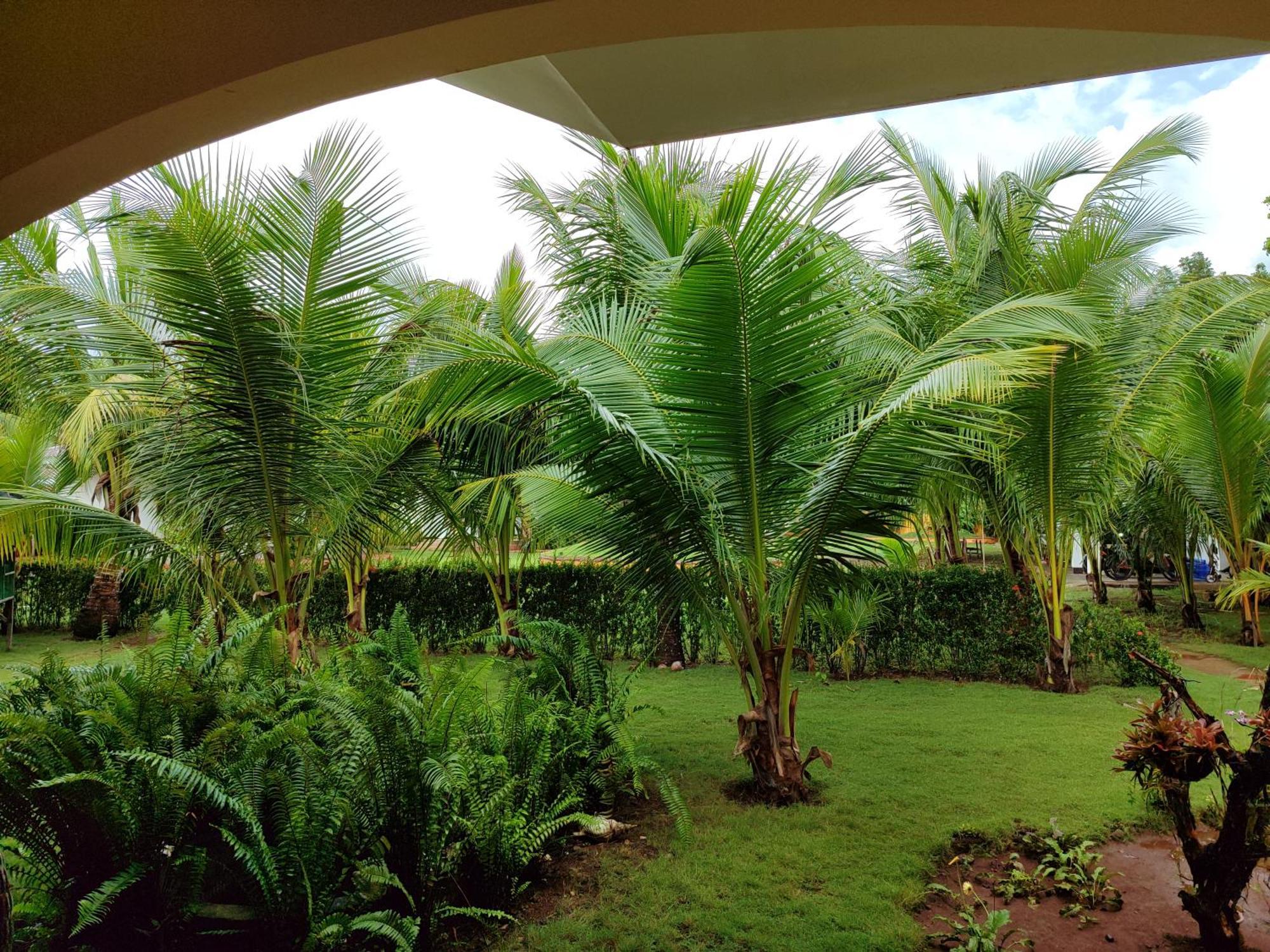 E&N Paradise Island Resort Siquijor Kültér fotó