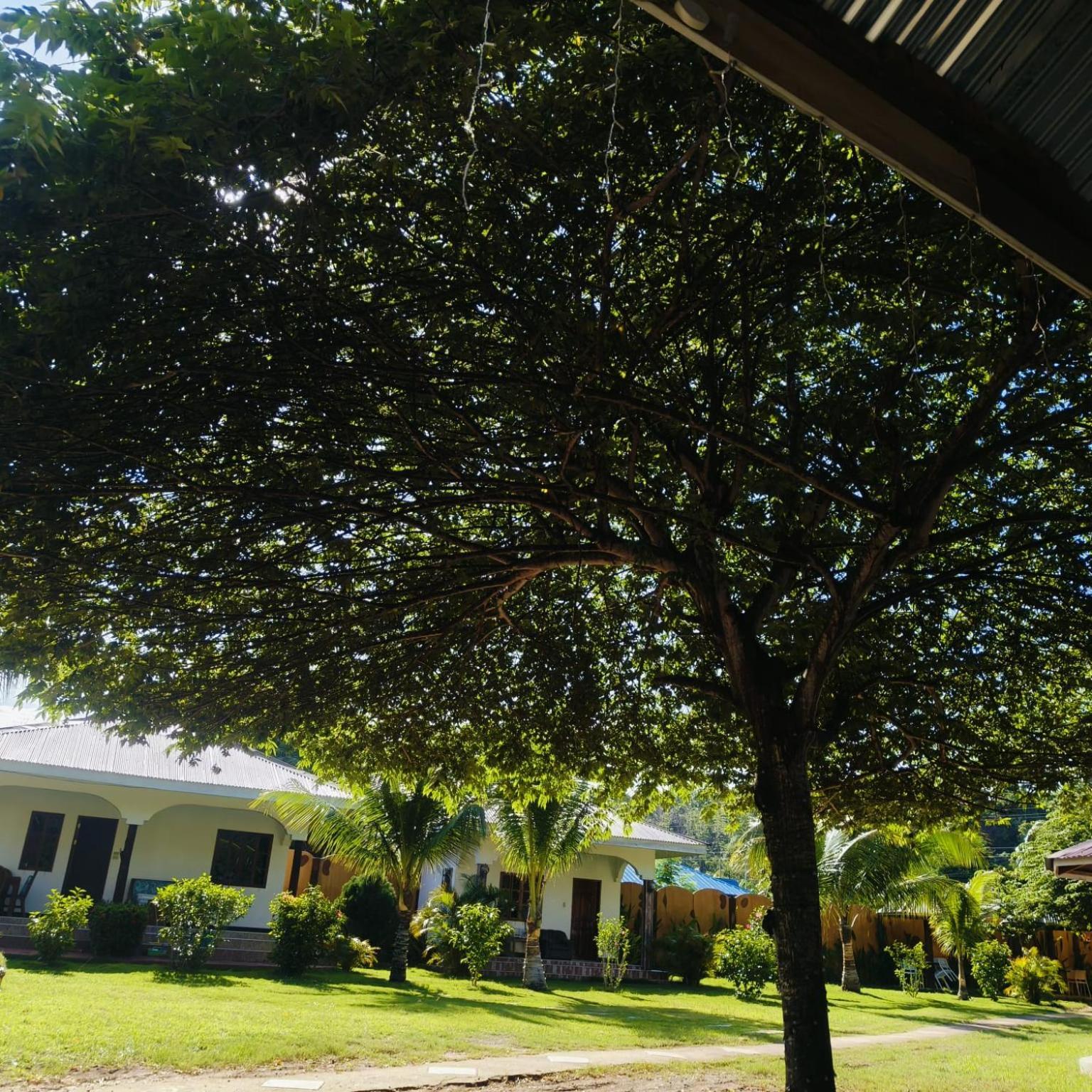 E&N Paradise Island Resort Siquijor Kültér fotó